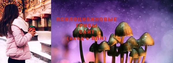 ГАЛЛЮЦИНОГЕННЫЕ ГРИБЫ Няндома