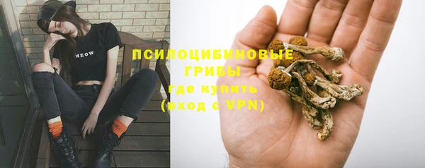 ГАЛЛЮЦИНОГЕННЫЕ ГРИБЫ Няндома