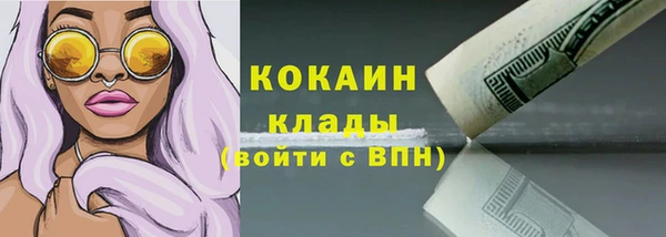 дживик Нягань