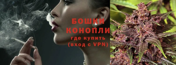 ГАЛЛЮЦИНОГЕННЫЕ ГРИБЫ Няндома