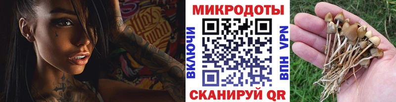 Галлюциногенные грибы мухоморы  блэк спрут как зайти  Унеча 