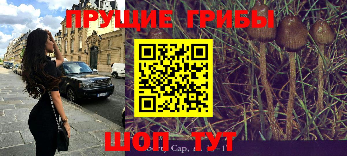 Псилоцибиновые грибы GOLDEN TEACHER  как найти   Вход с VPN  Унеча  Псилоцибиновые грибы мицелий 